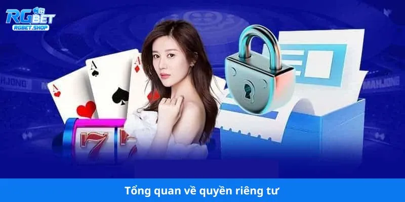 Tổng quan về quyền riêng tư 